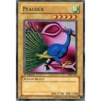 ���×V�Y�� MRL-011[N]�FPeacock/�N�W���b�N