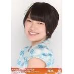 中古生写真(AKB48・SKE48) 梅本泉/バストアップ/帯オ