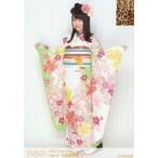 中古生写真(AKB48・SKE48) (5)：小笠原茉由/2012 Dece