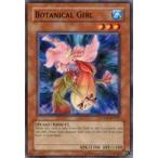 中古遊戯王 CSOC-EN027[N]：Botanical Girl/ボタニティ・ガール