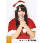 中古生写真(AKB48・SKE48) 原望奈美/上半身・両手胸元・サンタ衣装/「2011.12」公式生写真