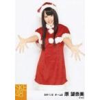 中古生写真(AKB48・SKE48) 原望奈美/膝上・両手パー・