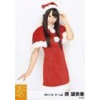 中古生写真(AKB48・SKE48) 原望奈美/膝上・左手上げ・サンタ衣装/「2011.12」公式生写真