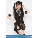 中古生写真(AKB48・SKE48) 上野遥/膝上/劇場トレーデ