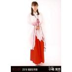 中古生写真(AKB48・SKE48) 小嶋菜月/全身/2016 福袋生
