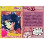 中古アニメ系トレカ 308[ノーマルカード]：ルナ