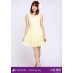 中古生写真(乃木坂46) 川後陽菜/全身(足見切れ)/2016 