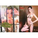 中古コレクションカード(女性) スペシャル 01 ： 杉本有美/金箔プリントサイン/「杉本有美〜SEVEN COLORS 第二