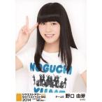 中古生写真(AKB48・SKE48) 野口由芽/バストアップ/「