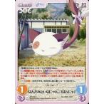 中古カオス PT-072[U]：ぱんだみたいなにゃんこ「ぱんにゃ」