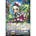 中古ヴァンガード G-TD03/014[TD]：春待ちの乙女 オズ