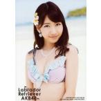 中古生写真(AKB48・SKE48) 柏木由紀/水着・上半身/CD「ラブラドール・レトリバー」通常盤特典