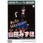 中古生写真(AKB48・SKE48) 山田みずほ/CD「ラブラドー