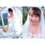 中古コレクションカード(女性) SP14 ： 浦野一美/銀箔