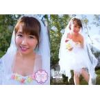 中古コレクションカード(女性) Box 01 ： 浦野一美/BO