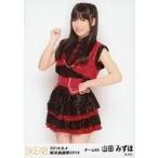 中古生写真(AKB48・SKE48) 山田みずほ/膝上/美浜海遊