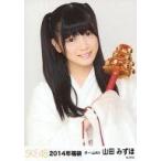 中古生写真(AKB48・SKE48) 山田みずほ/上半身/2014年 