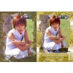 中古コレクションカード(女性) 013 ： 釈由美子/金箔押しカード/YUMIKO SHAKU TRADING CARD 2001