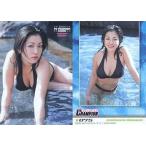 中古コレクションカード(女性) 075 ： 小向美奈子/2005 YC PREMIUM CARD