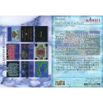 中古アニメ系トレカ #021[メモリアル]：FINAL FANTASY IV エンディング