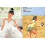 中古コレクションカード(女性) 043 ： 藤原ひとみ/レギュラーカード/藤原ひとみ YC ORIGINAL TRADI
