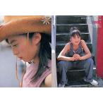 中古コレクションカード(女性) 049 ： 藤原ひとみ/レギュラーカード/藤原ひとみ YC ORIGINAL TRADI