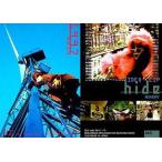 中古コレクションカード(男性) 049：hide/hide official trading card