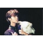 中古コレクションカード(男性) TAEMI(テミン)/Dazzling Girl 封入特典