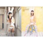 中古コレクションカード(女性) 01 ： ほしのあき/レギュラーカード/STELLA