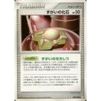 ずがいの化石の出品写真