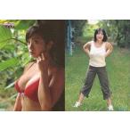 中古コレクションカード(女性) 053 ： 小向美奈子/レギュラーカード/Weekly Champion PREMIUM CARD