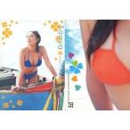 中古コレクションカード(女性) 紗綾/2008年18号特典/WEEKLY YOUNG SUNDAY TRADING CARD まるごと紗綾