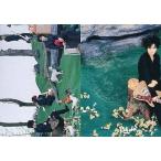 中古コレクションカード(男性) 6/10：GLAY/4人/CD「pure soul」初回限定盤特典トレカ