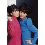 中古生写真(AKB48・SKE48) 松井玲奈・松井珠理奈/CD「