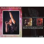 中古コレクションカード(男性) No.017[レギュラーカード]：T.M.Revolution/西川貴教/レギュラーカード/T.M.R. R