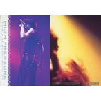 中古コレクションカード(男性) No.037[レギュラーカード]：T.M.Revolution/西川貴教/レギュラーカード/T.M.R. R
