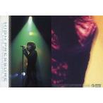中古コレクションカード(男性) No.040[レギュラーカード]：T.M.Revolution/西川貴教/レギュラーカード/T.M.R. R