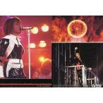 中古コレクションカード(男性) No.081 ： T.M.Revolution/西川貴教/レギュラーカード/T.M.R. Royal