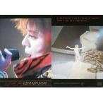 中古コレクションカード(男性) 090 ： T.M.Revolution/西川貴教/Royal Straight Flush Card