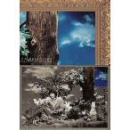 中古コレクションカード(男性) 106：T.M.Revolution/西川貴教/Royal Straight Flush Card