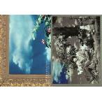 中古コレクションカード(男性) 102：T.M.Revolution/西川貴教/Royal Straight Flush Card