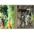 中古コレクションカード(男性) 103：T.M.Revolution/西川貴教/Royal Straight Flush Card