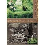 中古コレクションカード(男性) 108：T.M.Revolution/西川貴教/Royal Straight Flush Card
