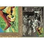 中古コレクションカード(男性) 100：T.M.Revolution/西川貴教/Royal Straight Flush Card
