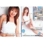 中古コレクションカード(女性) RG-23[レギュラーカード]：山田美穂/レギュラーカード/Race Queen a la mode