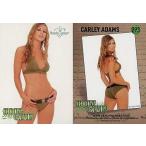 中古コレクションカード(女性) 293[Basic Set(BOOT CAMP)]：CARLEY ADAMS