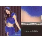 中古アイドル(AKB48・SKE48) 33-8[レギュラーカード]