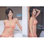 中古コレクションカード(女性) 010：安田美沙子/ウィークリーチャンピオン VENUS CARD