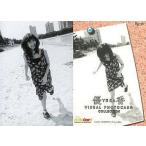 中古コレクションカード(女性) Rg-36 ： 優香/レギュラーカード(ホロ仕様)/VISUAL PHOTOCARD COLLECTION 優香