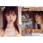 中古コレクションカード(女性) 075 ： 小倉優子/ヤングチャンピオンコレクションカード